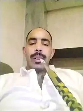 salimbasha online show from November 29, 7:25 pm