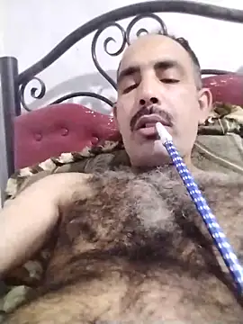 salimbasha online show from November 3, 11:30 pm