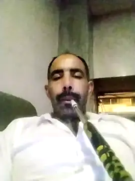 salimbasha online show from November 14, 10:35 pm