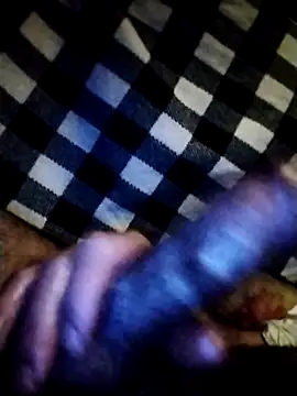 salimbasha online show from February 8, 3:15 am