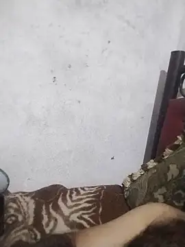 salimbasha online show from June 16, 3:28 am
