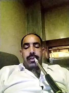 salimbasha online show from November 11, 11:31 pm