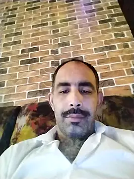 salimbasha online show from November 14, 7:45 am