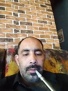 salimbasha online show from May 21, 3:31 pm