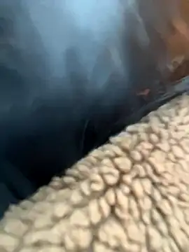 MiraReach online show from November 9, 2:37 am