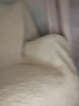 peepformance online show from October 30, 9:29 am