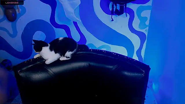 IrisSmil3 online show from October 21, 2:38 pm