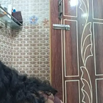 Snapshot of Bristy- chatting on November 6, 11:25 am Bristy- online show from November 6, 11:25 am