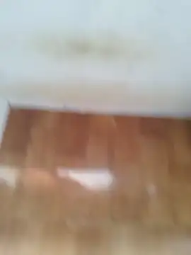 O Mascarado NK online show from March 21, 12:42 pm