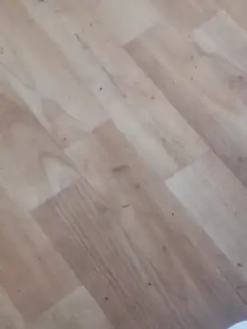 Snapshot of jhoi95 chatting on October 20, 10:32 pm jhoi95 online show from October 20, 10:32 pm