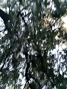 KalendaXL online show from April 5, 4:24 pm