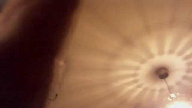 Swegay12-Exhi online show from December 3, 7:24 pm