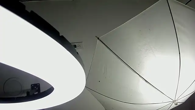 Starbutterflyy  online show from April 3, 4:41 am