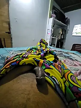 sexyboy fox online show from February 9, 3:37 am