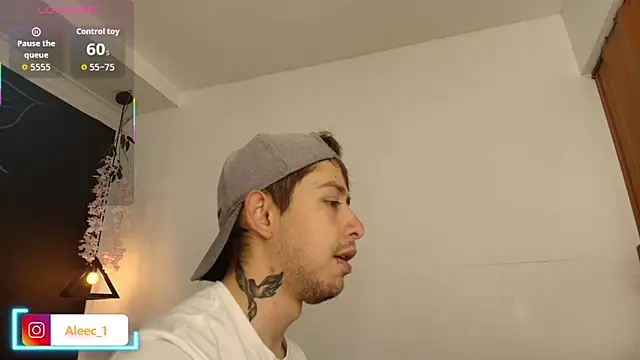 Aleecandrews online show from November 28, 7:47 pm