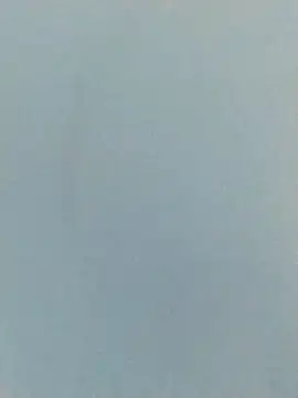 Snapshot of LeoMaduroSP chatting on November 20, 4:13 am LeoMaduroSP online show from November 20, 4:13 am