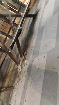 LeoMaduroSP online show from January 9, 11:33 pm