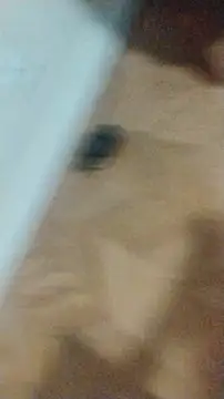 LeoMaduroSP online show from January 17, 12:48 am