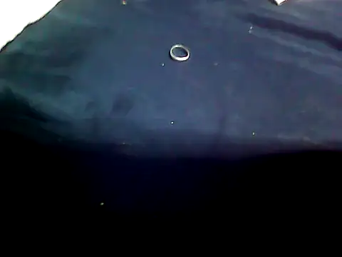 20cmloiro online show from January 14, 4:16 am