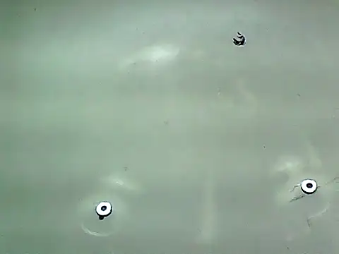 20cmloiro online show from January 8, 5:46 am