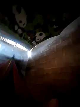 Charlyy1994 online show from December 2, 3:25 pm