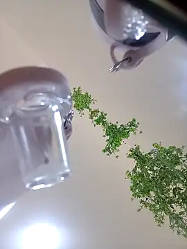 Samantha hotly online show from October 31, 2:02 pm