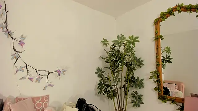 Snapshot of valerieMattson chatting on November 27, 4:29 pm valerieMattson online show from November 27, 4:29 pm