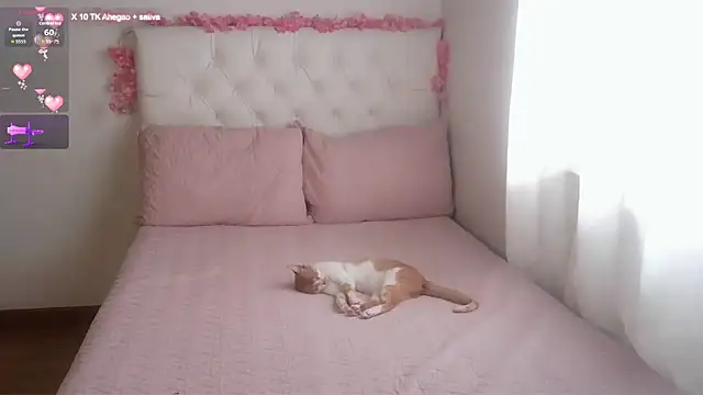 AbrilVelastegui7 online show from February 28, 4:39 pm