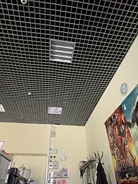 Snapshot of Liza_Will chatting on November 14, 6:17 am Liza Will online show from November 14, 6:17 am