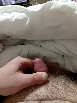 Kubous online show from December 21, 4:41 pm