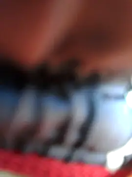 chef82 online show from January 11, 3:08 pm