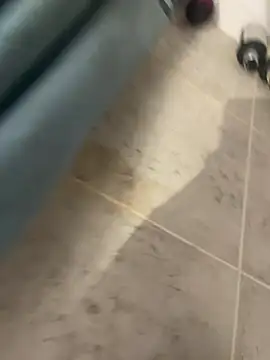 BobKat online show from January 15, 9:12 am