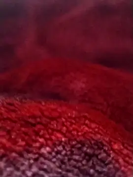 saneer69tew online show from February 26, 6:13 am