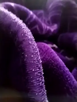 saneer69tew online show from April 13, 6:28 am