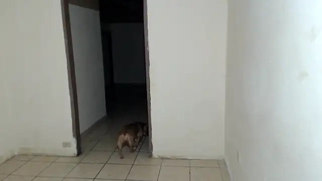 BlondZilla online show from March 7, 7:37 am