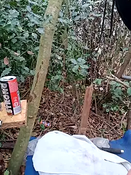 Snapshot of Wilsonn86 chatting on December 2, 9:22 am Wilsonn86 online show from December 2, 9:22 am