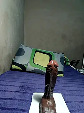 Snapshot of khetyvile chatting on December 1, 12:44 am khetyvile online show from December 1, 12:44 am