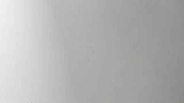 Lady miss    online show from November 6, 12:20 pm