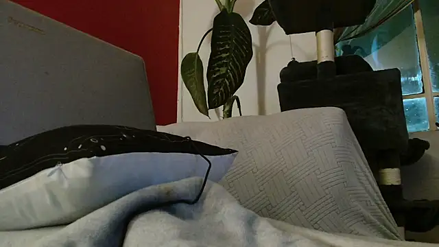 Tulindabonny online show from March 6, 5:02 am