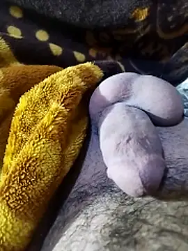 ADAM50001 online show from April 2, 2:41 am