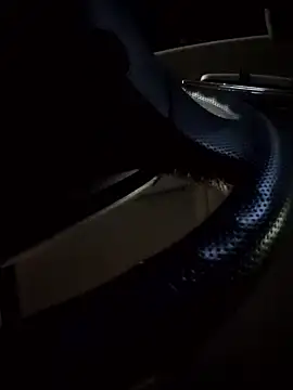 kqitooo online show from February 3, 1:16 pm