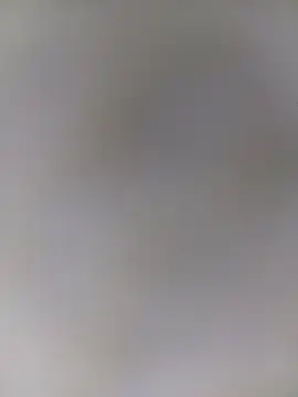 Trisha 71 online show from December 21, 4:47 am