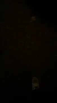 Raegis online show from November 19, 3:06 am