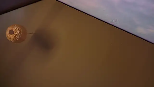 MasterDaddyCool online show from January 8, 7:31 pm