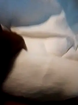 Bigdickmw online show from April 19, 4:57 am