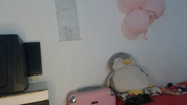 Victoria new online show from November 19, 2:00 am