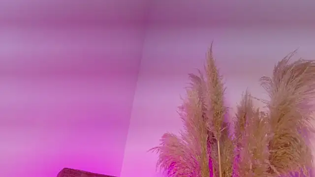 KITY HILL online show from January 12, 4:19 am