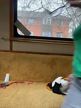 Snapshot of ladyboatlady chatting on November 16, 9:25 am ladyboatlady online show from November 16, 9:25 am