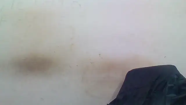 sasatimido online show from December 3, 1:32 pm