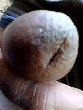 Bob black online show from April 18, 2:19 pm